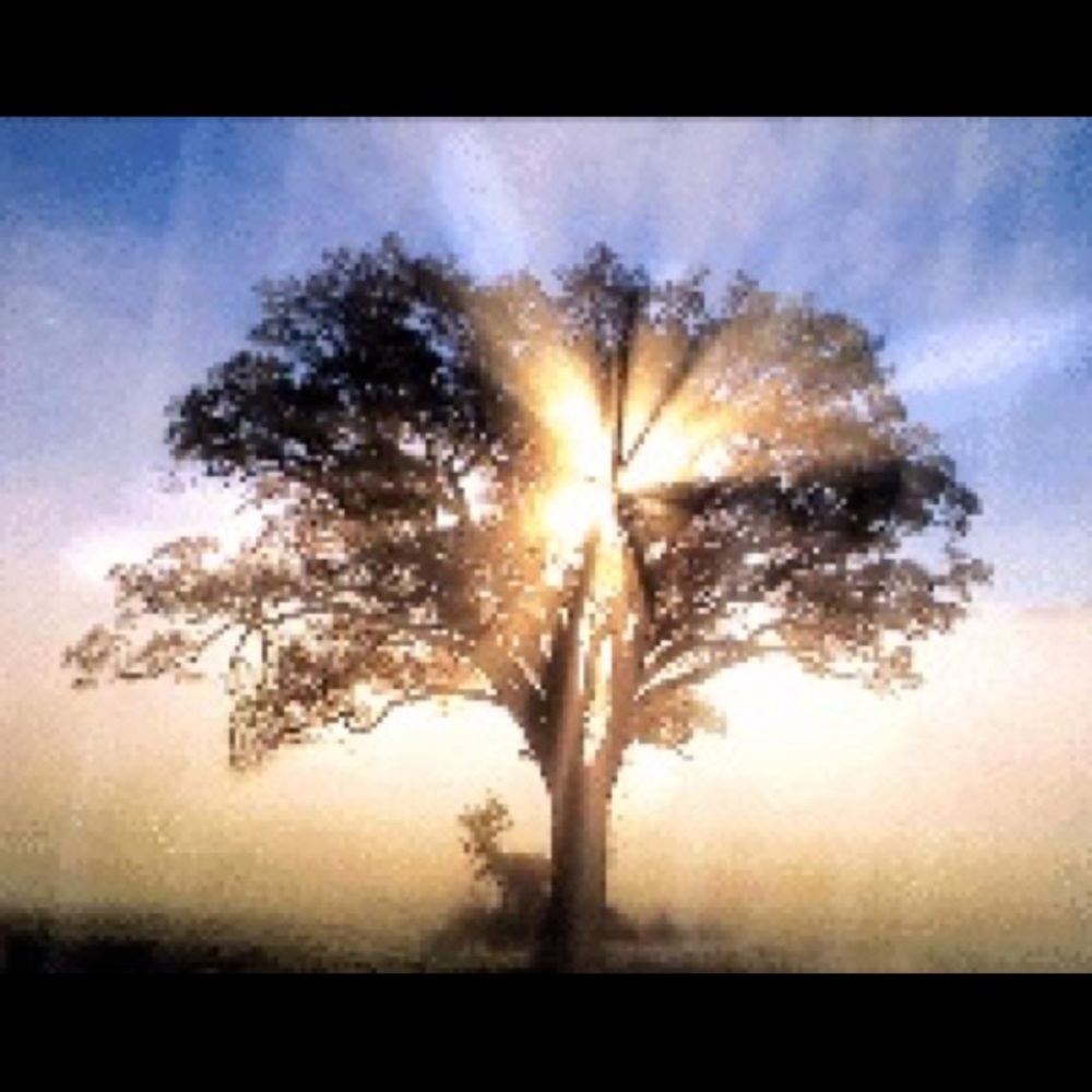 Meet your Posher, Alice